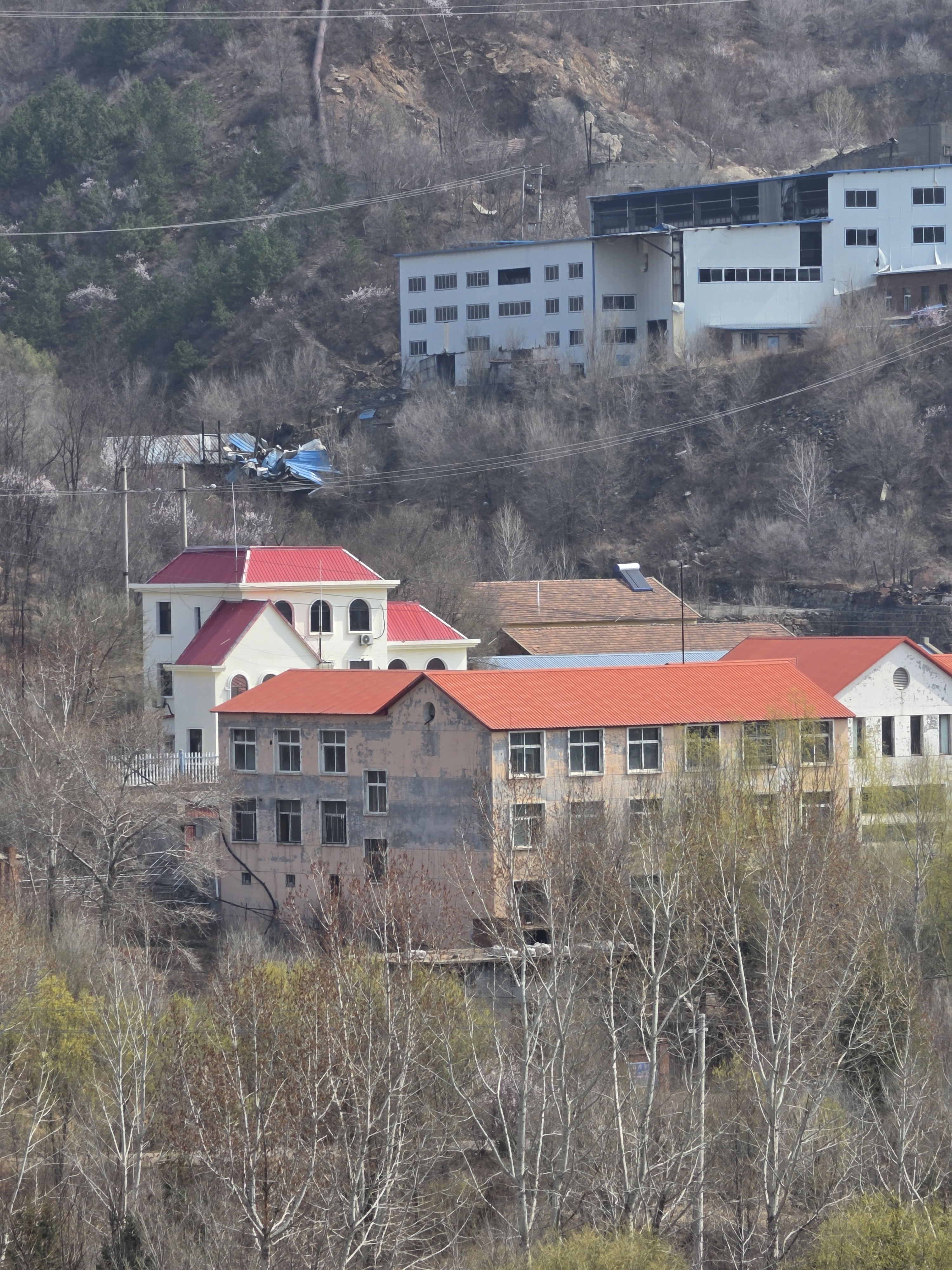 三星Galaxy S26 Ultra ，更改设置后，画质比三星默认设置强太多了。