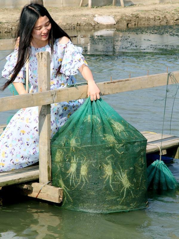 南京固城湖螃蟹养殖真是打通了乡村共富路啊！固城湖水质优良，为螃蟹生长提供了绝佳环