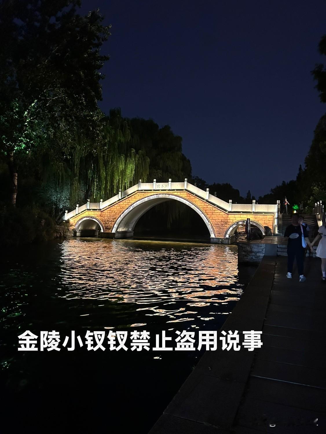 金陵小钗钗写作水平与风格评价

她属于民间纪实散文，不是专业文学创作，胜在真实、