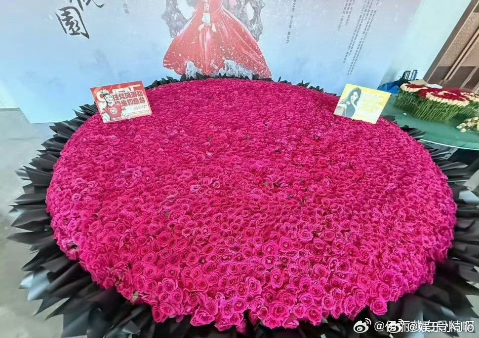 陈丽君绍兴演出，粉丝送了13142朵弗洛伊德玫瑰花，越剧巡演票房3500万+ ，