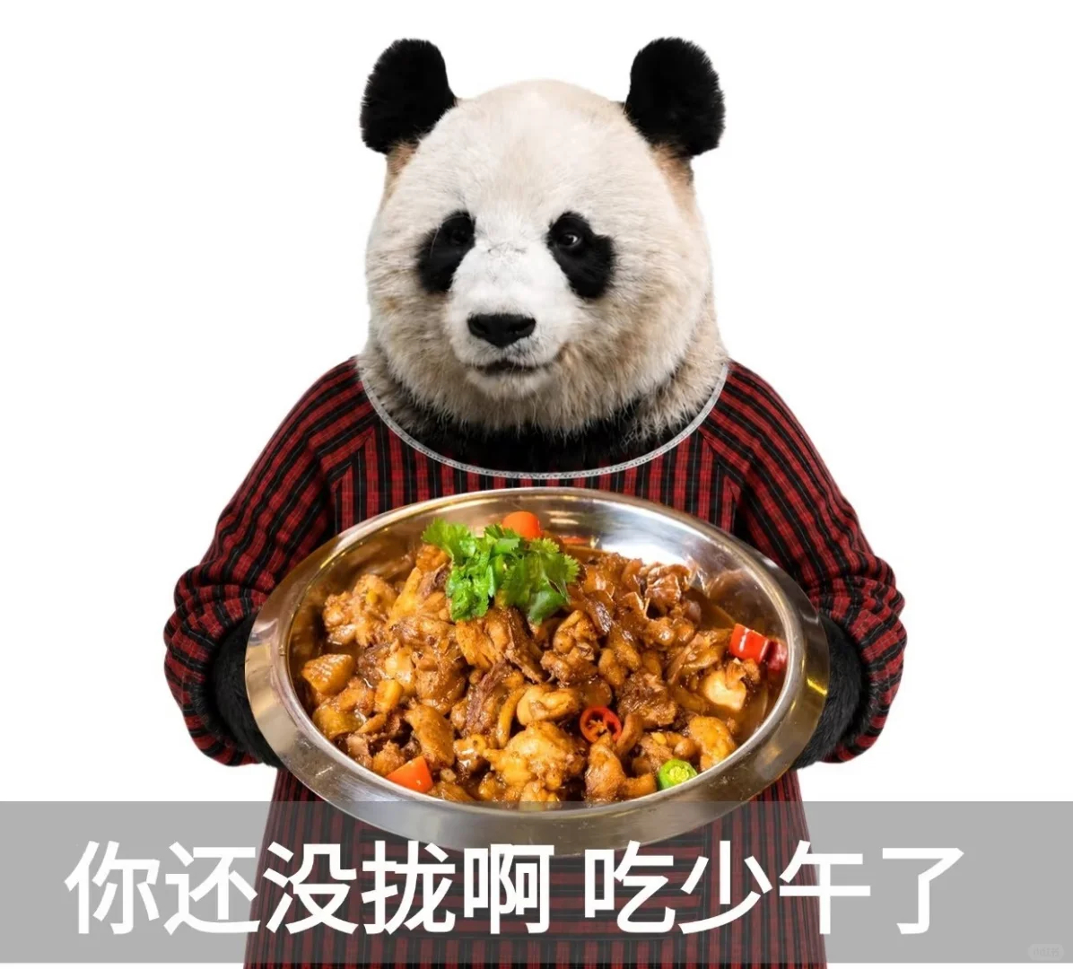 川渝人才能看懂的