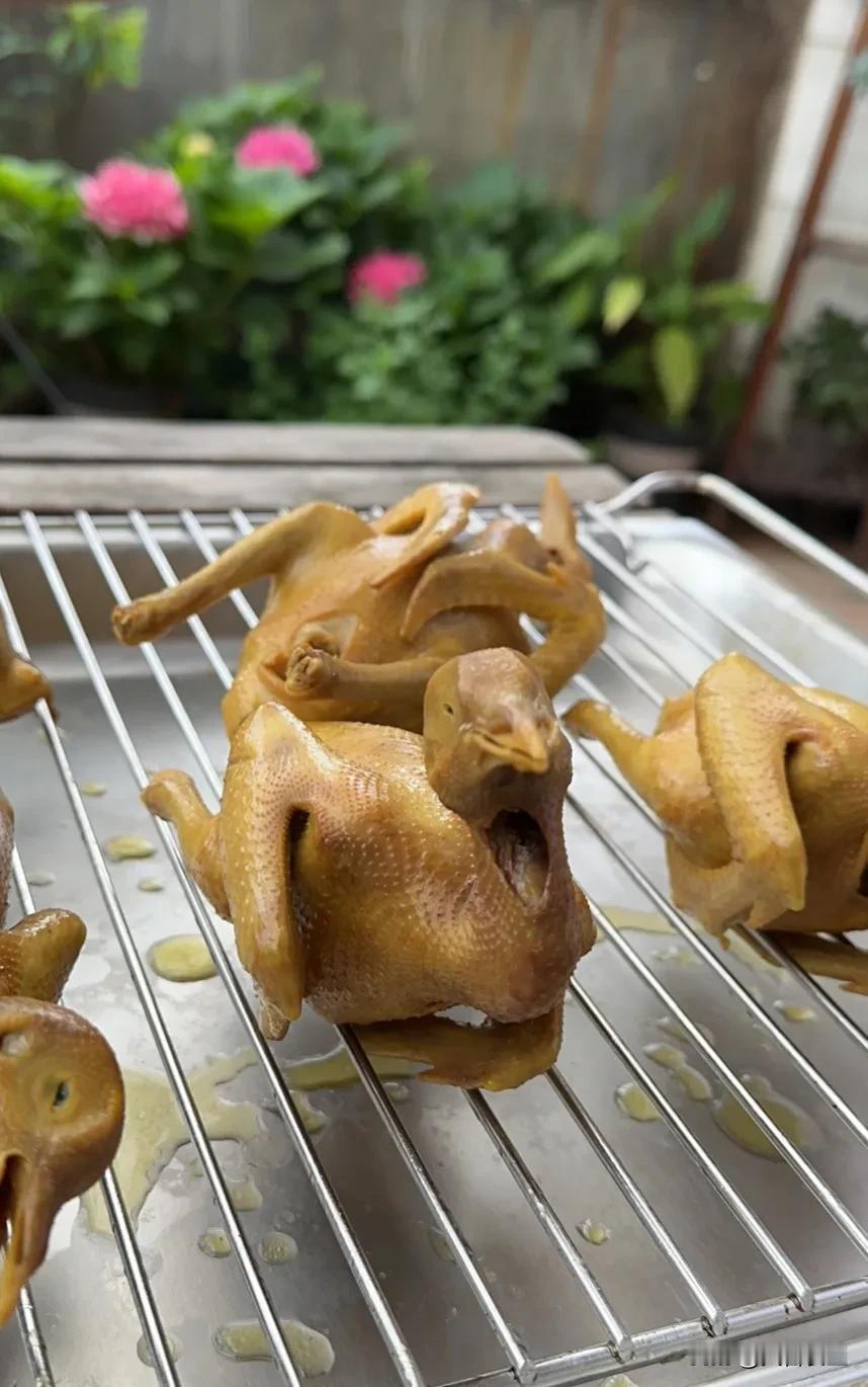 盐焗乳鸽