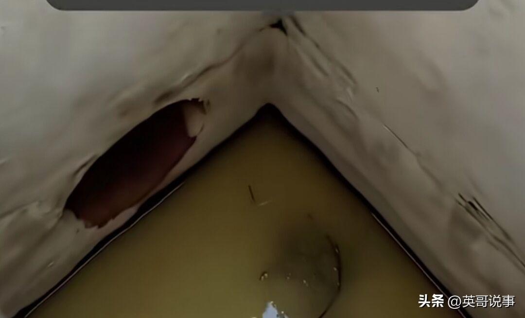 现实中很多人连这只癞蛤蟆都不如！