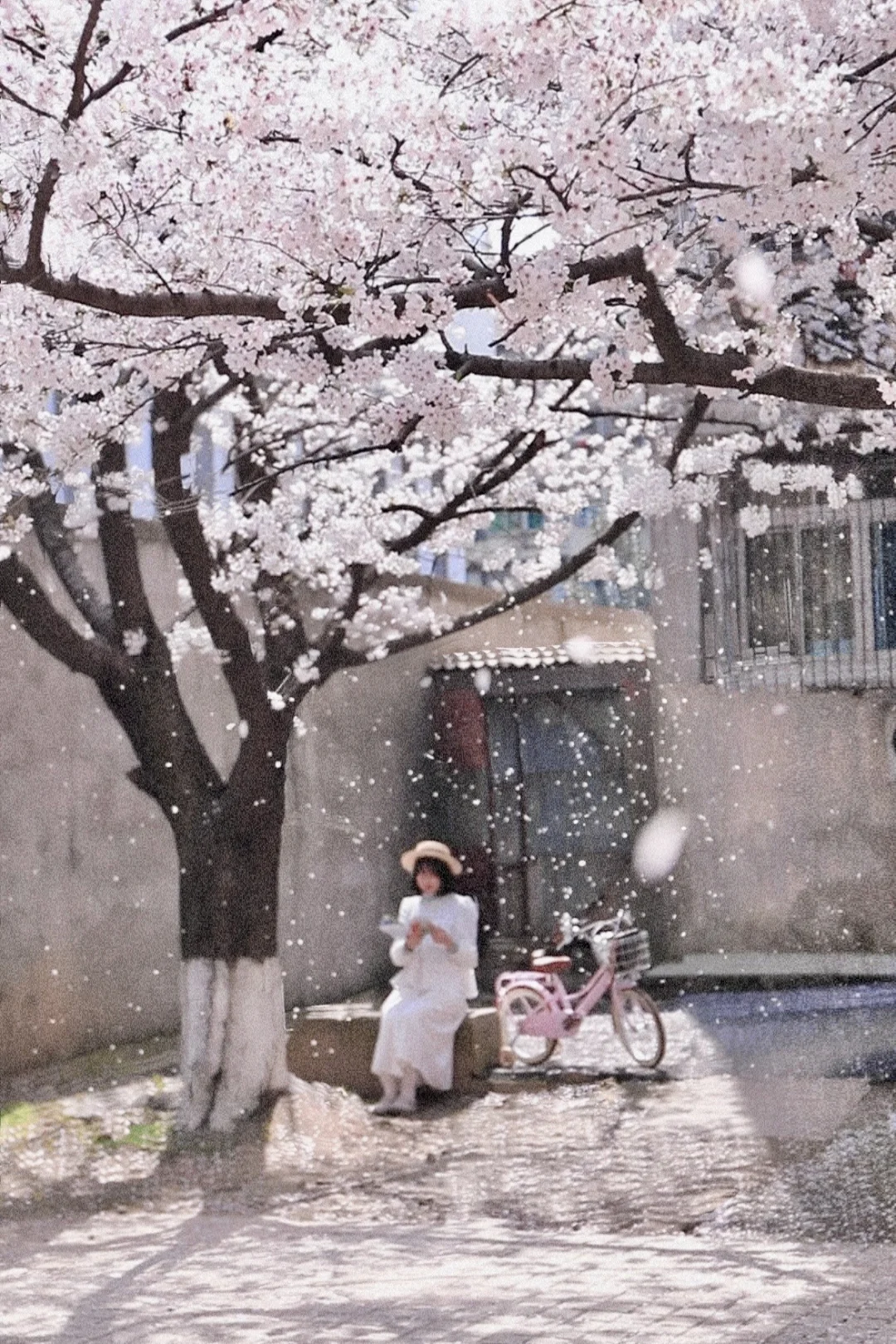 🌸接下来的武汉春天，是万万次的春和景明🌸