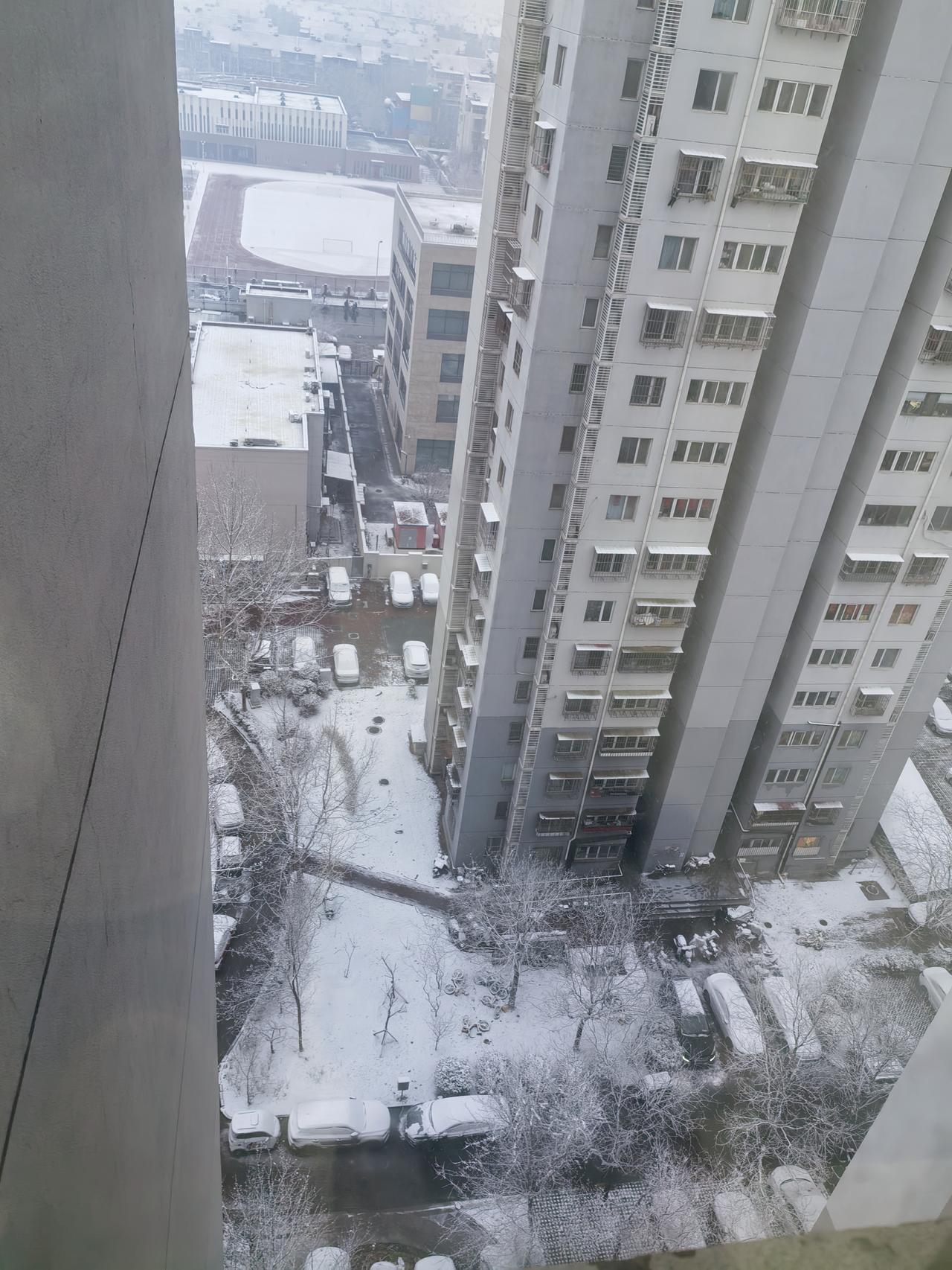 今晨起床后下雪了