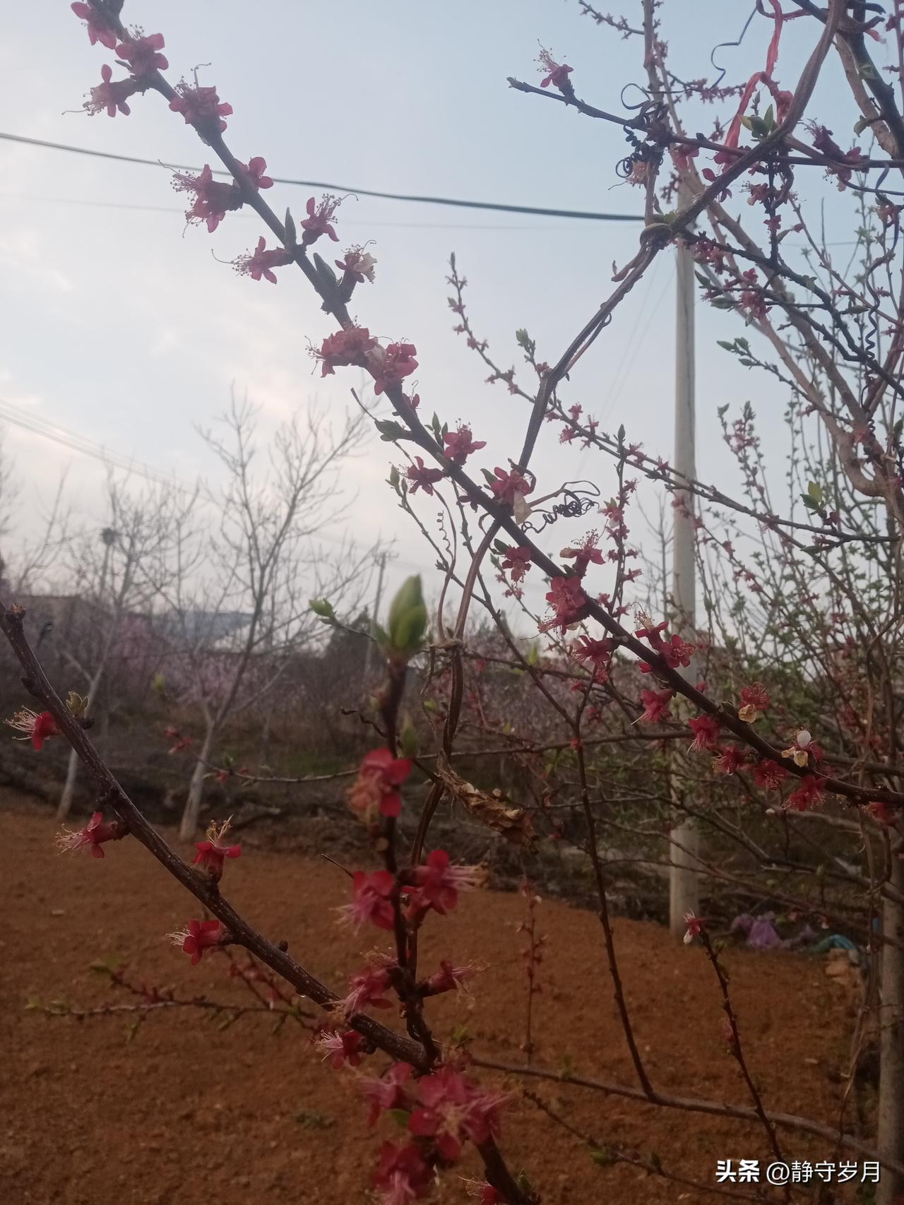 其实快乐真没那么复杂，不用等大富大贵，也不用等万事圆满。
 
少跟自己较劲，少往