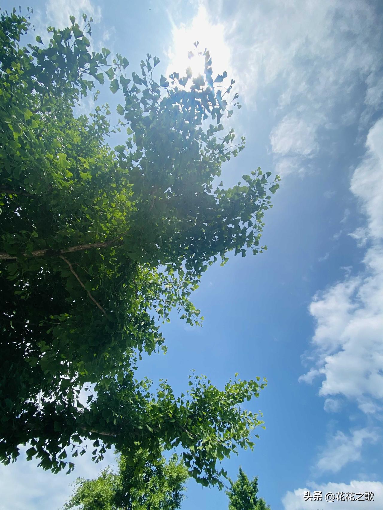 这是是肯定的，高温天气肯定会减少外出活动的，一是怕晒中暑了，二是怕晒黑了，总之出