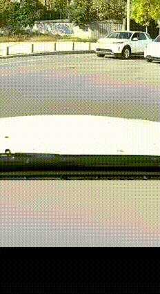 错把慌乱当操作 一念之差酿悲剧
 近日西咸新区沣东新城的西咸大道上，上演了一幕让