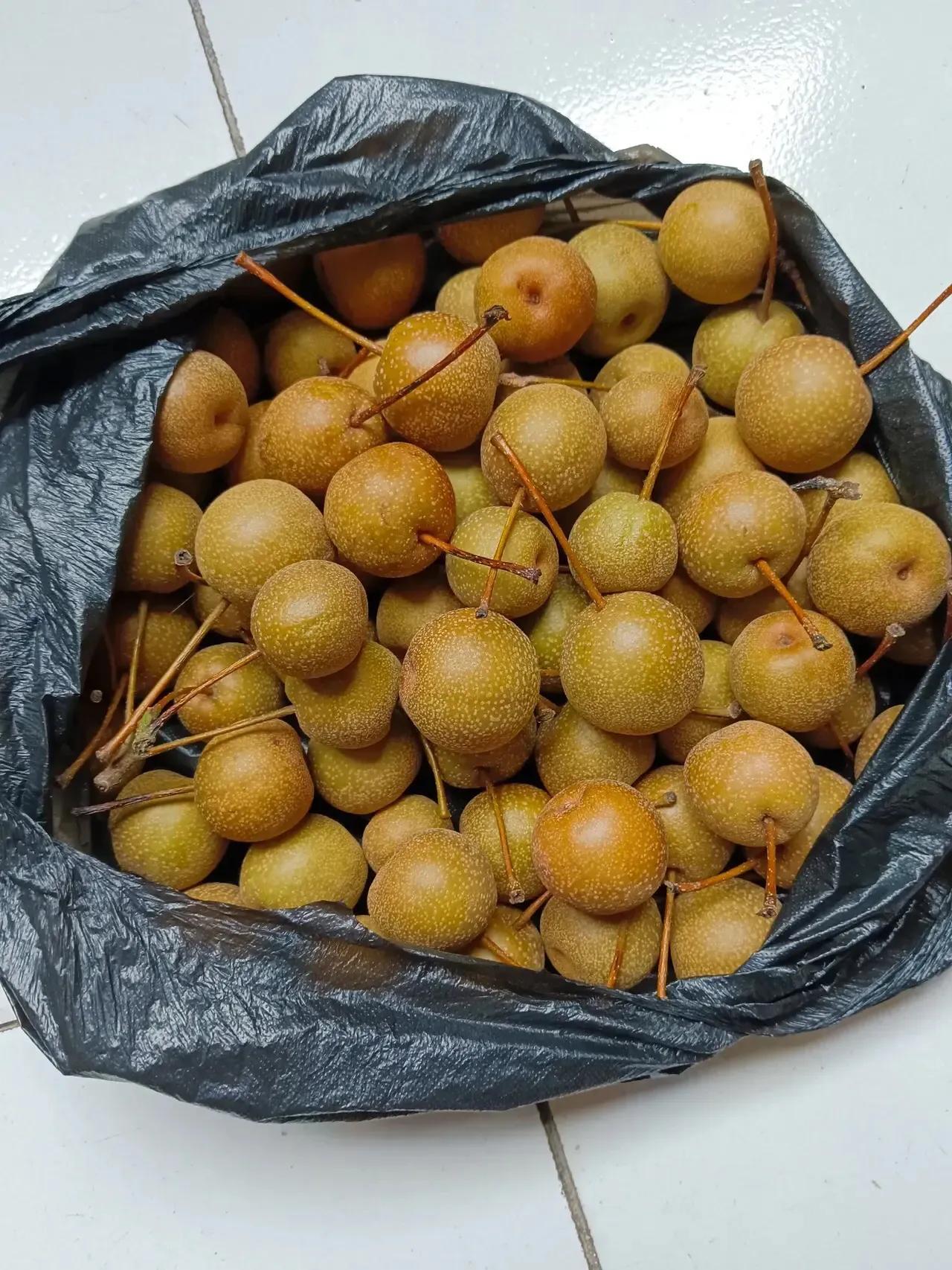 有认识这种水果的吗？叫什么名字？
