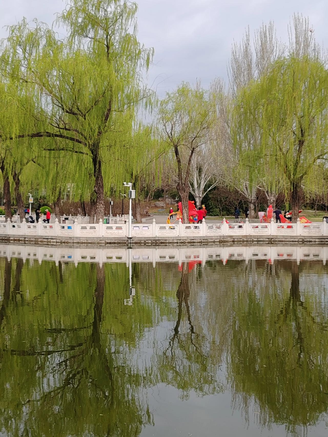 春日生活打卡季春天之美随手拍。