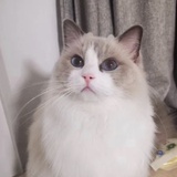 暖闯热看娱乐
