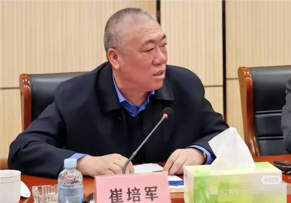 现在全网最尴尬的应该是那些总说自己大方的老板吧。 河南矿山崔培军去年净利润2.6