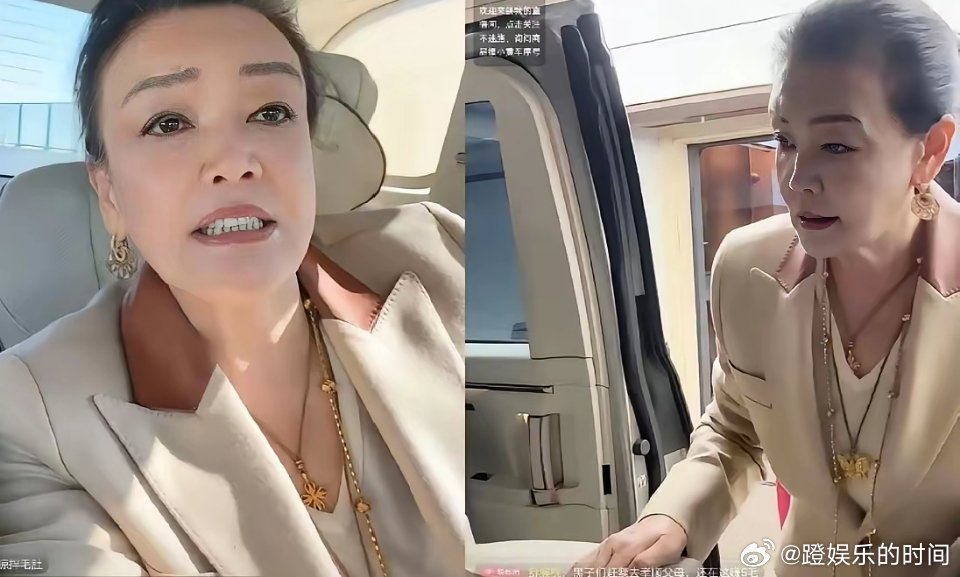 张兰这是用实际行动来回应儿子，这麻六记姓汪还是姓张啊……今天张兰去公司给安总他们