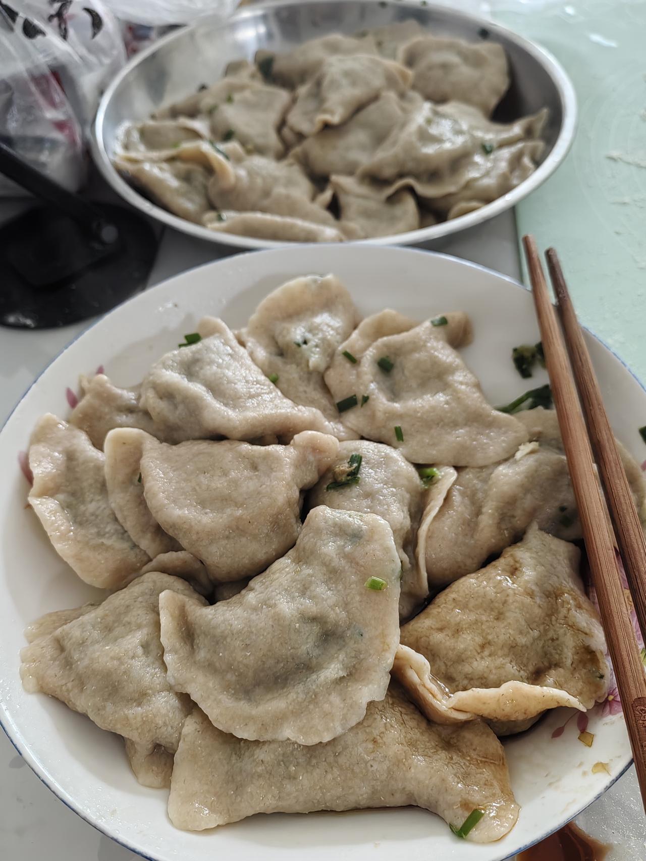这日子过回来了。
     今天包饺子，昨天买的农户自己种的韭菜，放点肉，用的新
