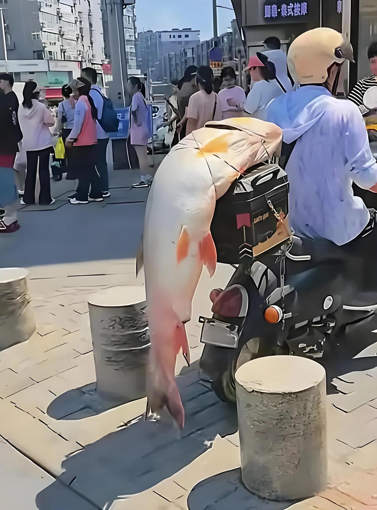 钓鱼佬炫耀大鱼，本质上是在展示一种“在极低概率下，通过耐心与博弈征服自然”的顶级