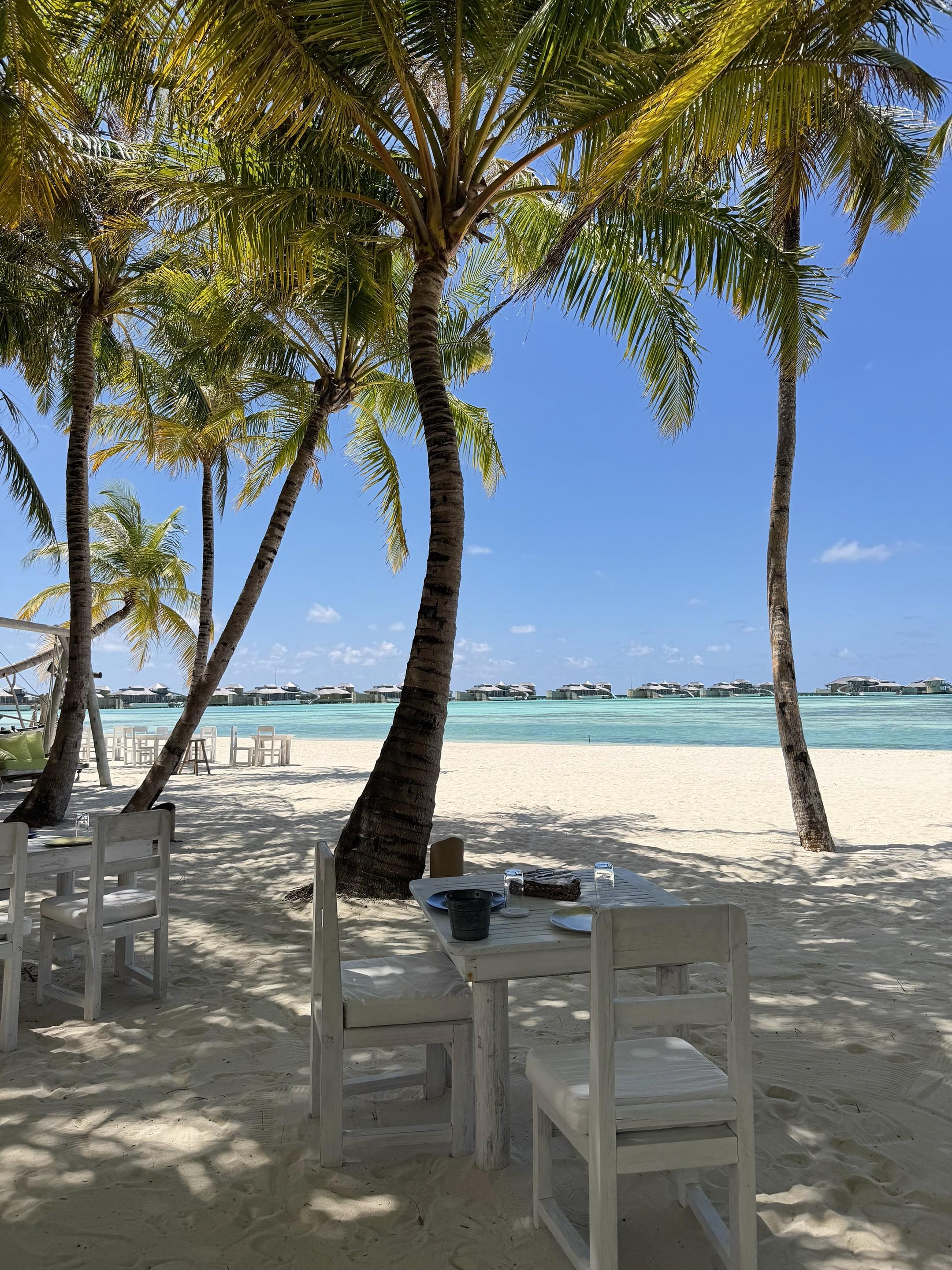 用宏大的世界稀释痛苦 用微小的事情感知幸福 用流转的光阴解构执着 用专...