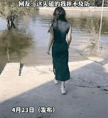 很真实！
如此真实的狼狈相，效果不错，忘情到忘我境界，忘记了脚下的危险，只为了那