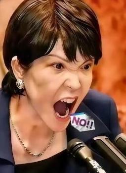 就在所有人都觉得该收手的时候，两个日本巨头，三菱和索尼，突然在中国市场砸下了重注