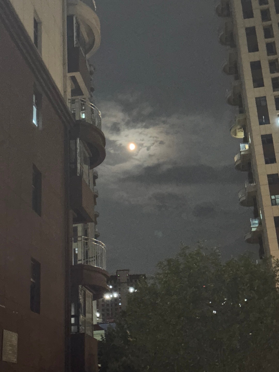 今晚月色好美我也有点想你 ​​​