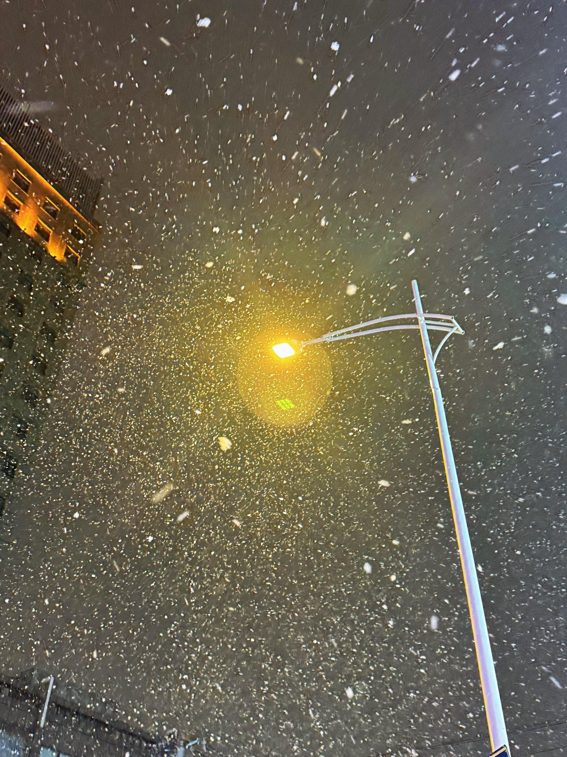 男性对女性最高级的爱，是教会她社会生存技能，给予她资源和帮助，哪怕有一...