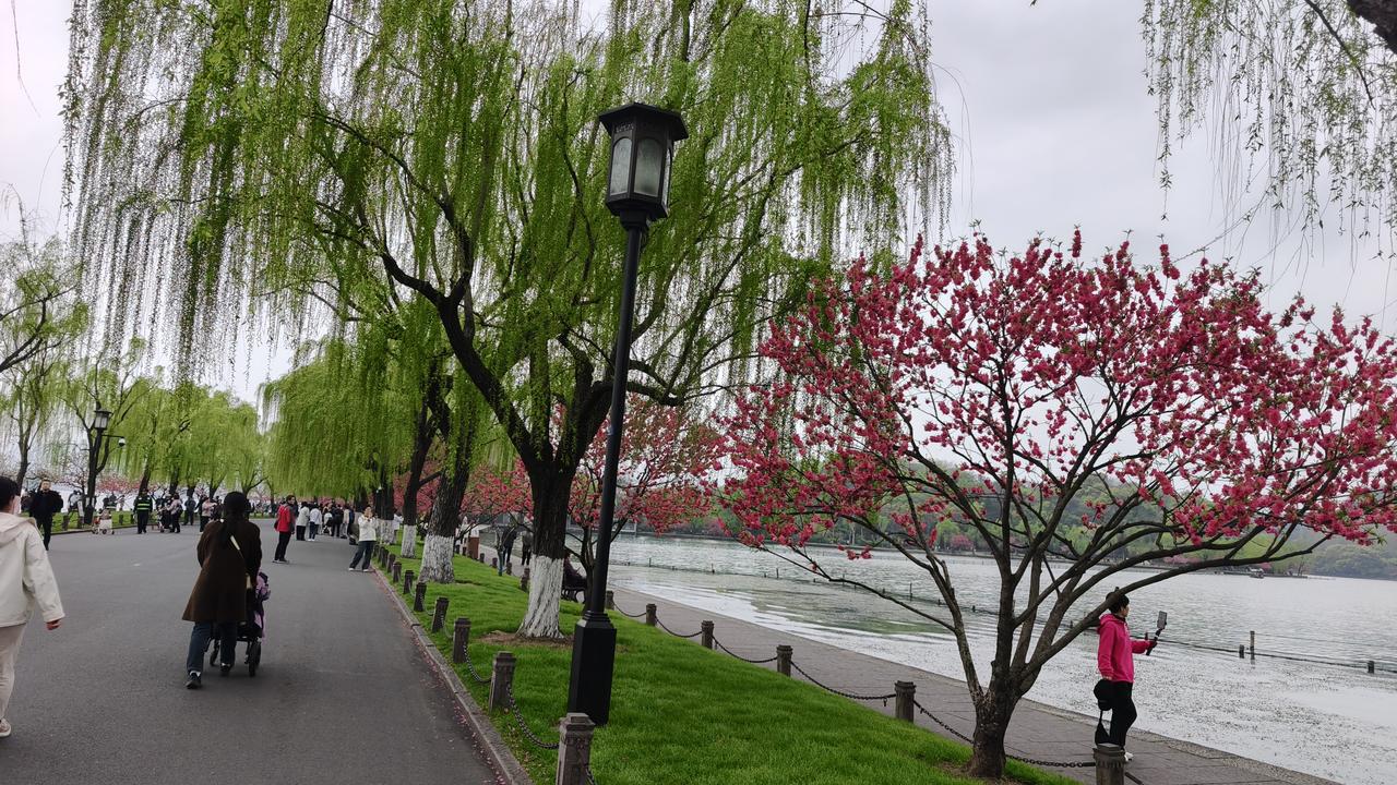 西湖什么时候花红柳绿西湖花红柳绿的最隹时间是每年的3月底到4月初，特别是白沙堤和
