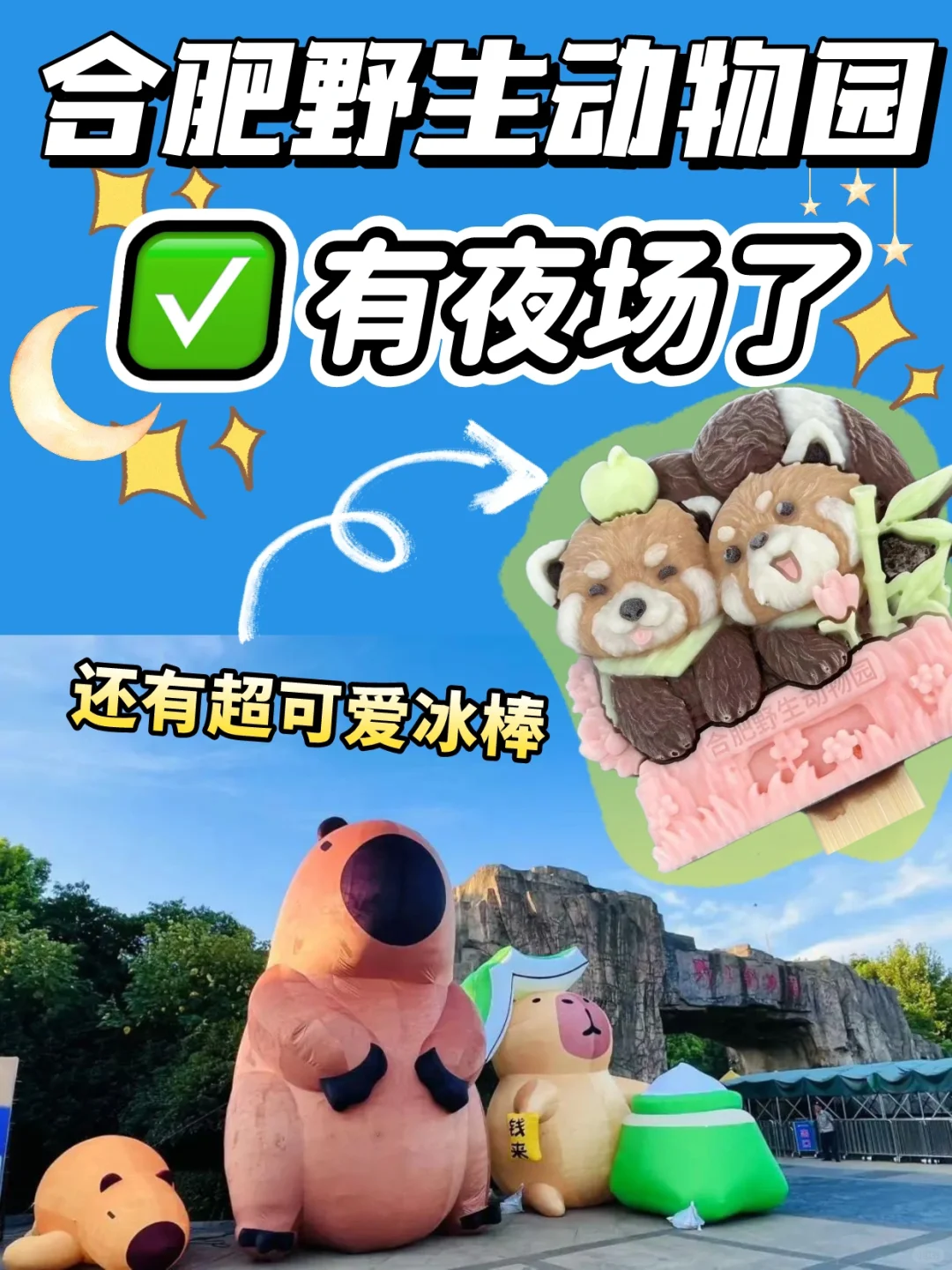 合肥野生动物园💥也可以夜游了❗