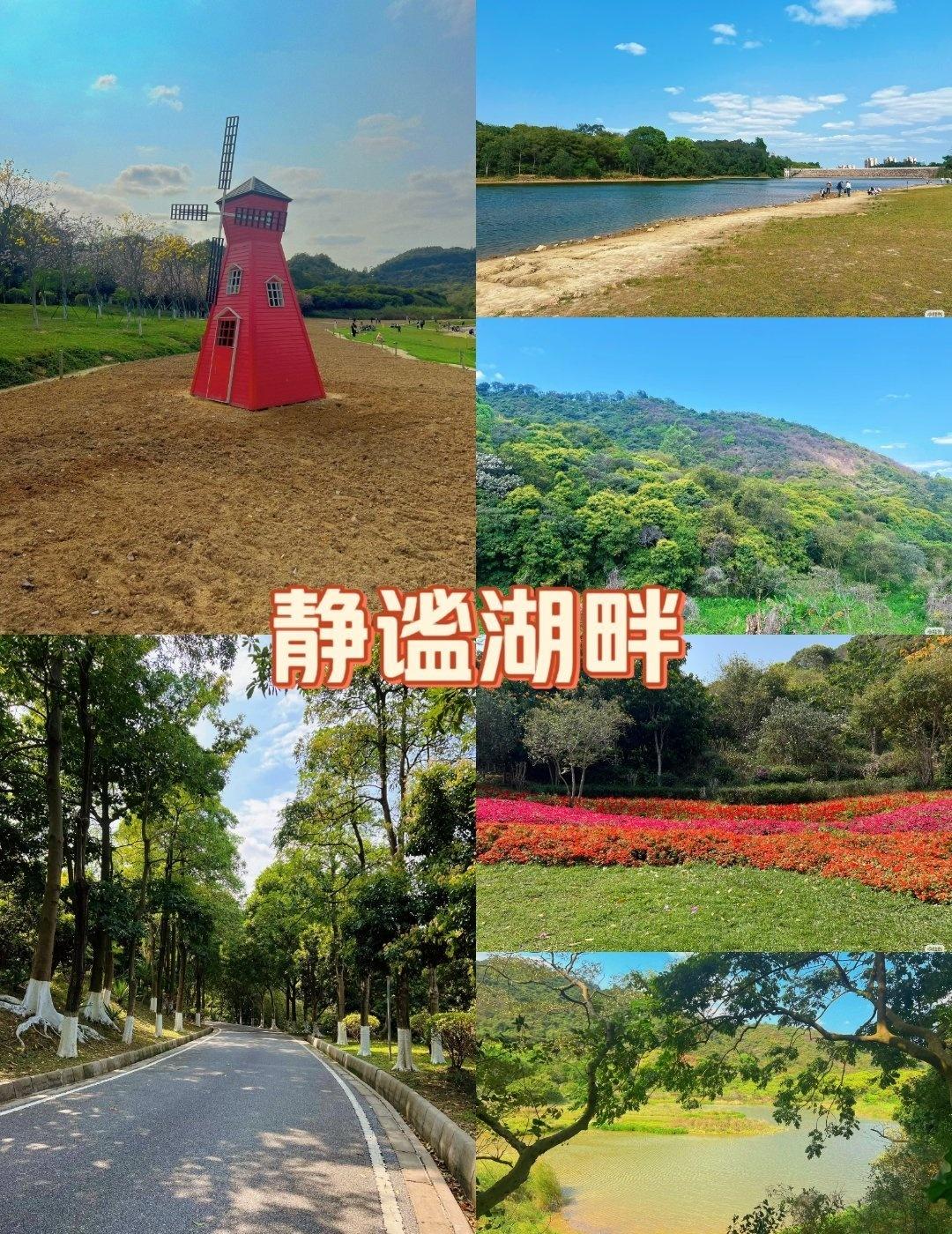 放松周末，野游好去处
📍广州 黄山鲁森里公园
分享我的宝藏打卡点城市向导官💡