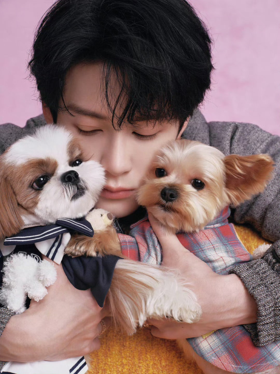 檀健次邀请粉丝上红毯2026年北影节宠粉无上限！檀健次邀请粉丝共登红毯，圆梦追星