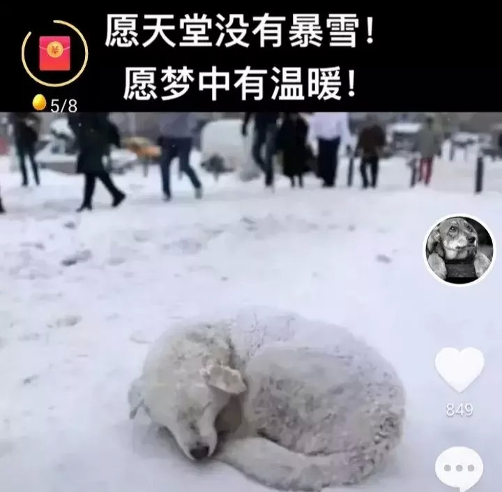 关心动物是一个人真正有教养的标志；一个社会的文明程度越高；其道德关怀的范围就越广