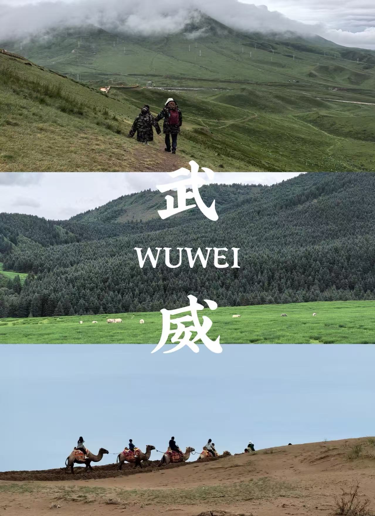 武威满足对西北所有幻想 今人不见古时月，今月曾经照古人河西斯文，尽在凉州；天马行