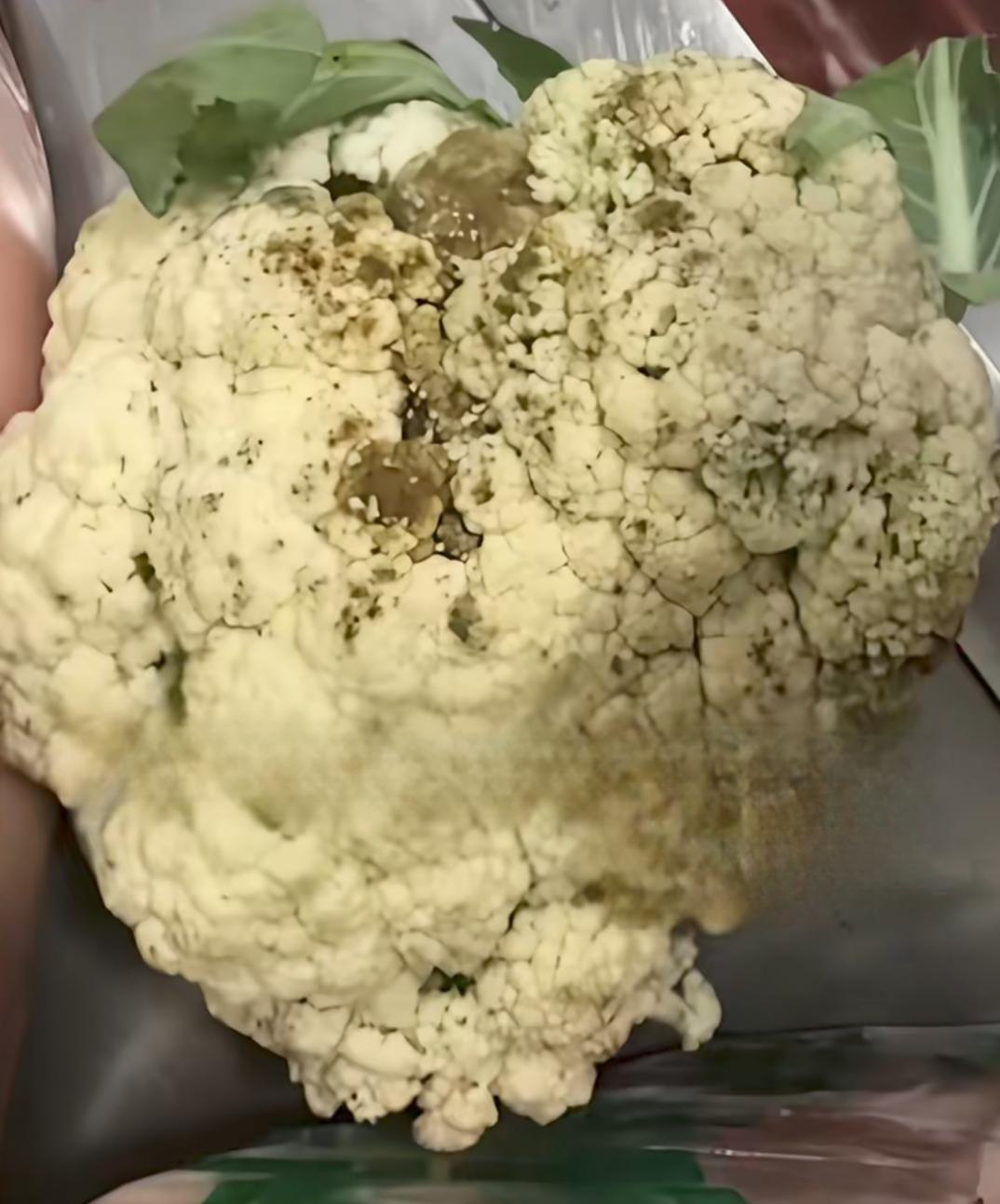 针对臭肉和发霉的蔬菜，有媒体报道说，滕州这家托管机构的解释为，五一假期和春假，食