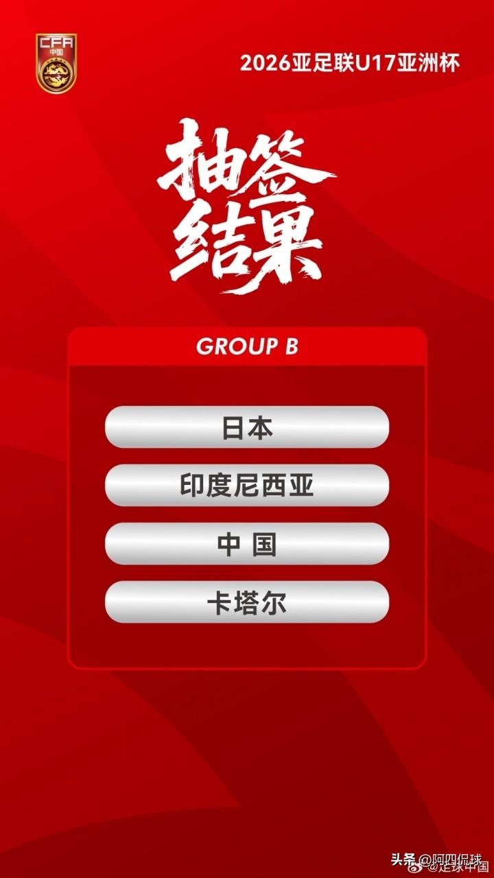 武汉球迷有福了，可以在家门口看亚少赛！“武体集团”公众号官宣，2026年U17亚
