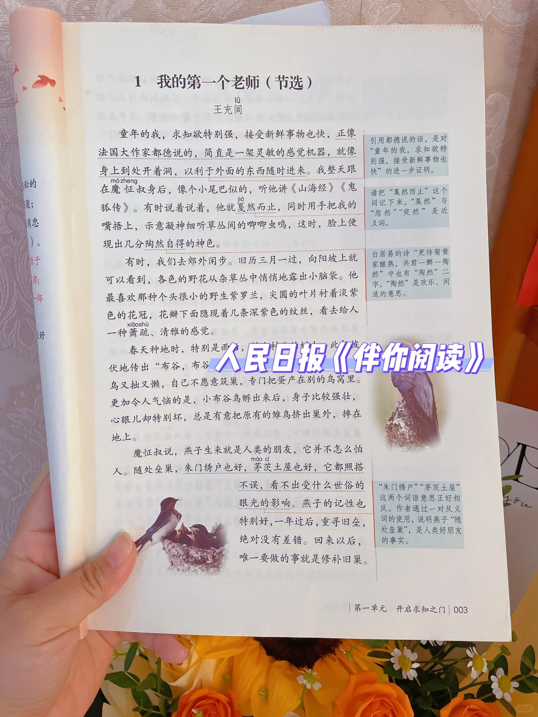 小学生都需要的《人民日报·伴你阅读》