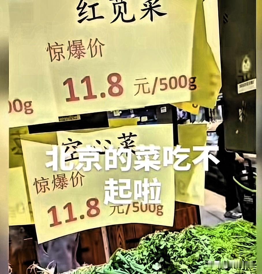 北京：茼蒿32元一公斤，精品五花肉35元一公斤
这价格印证了坊间流传的一段话：当