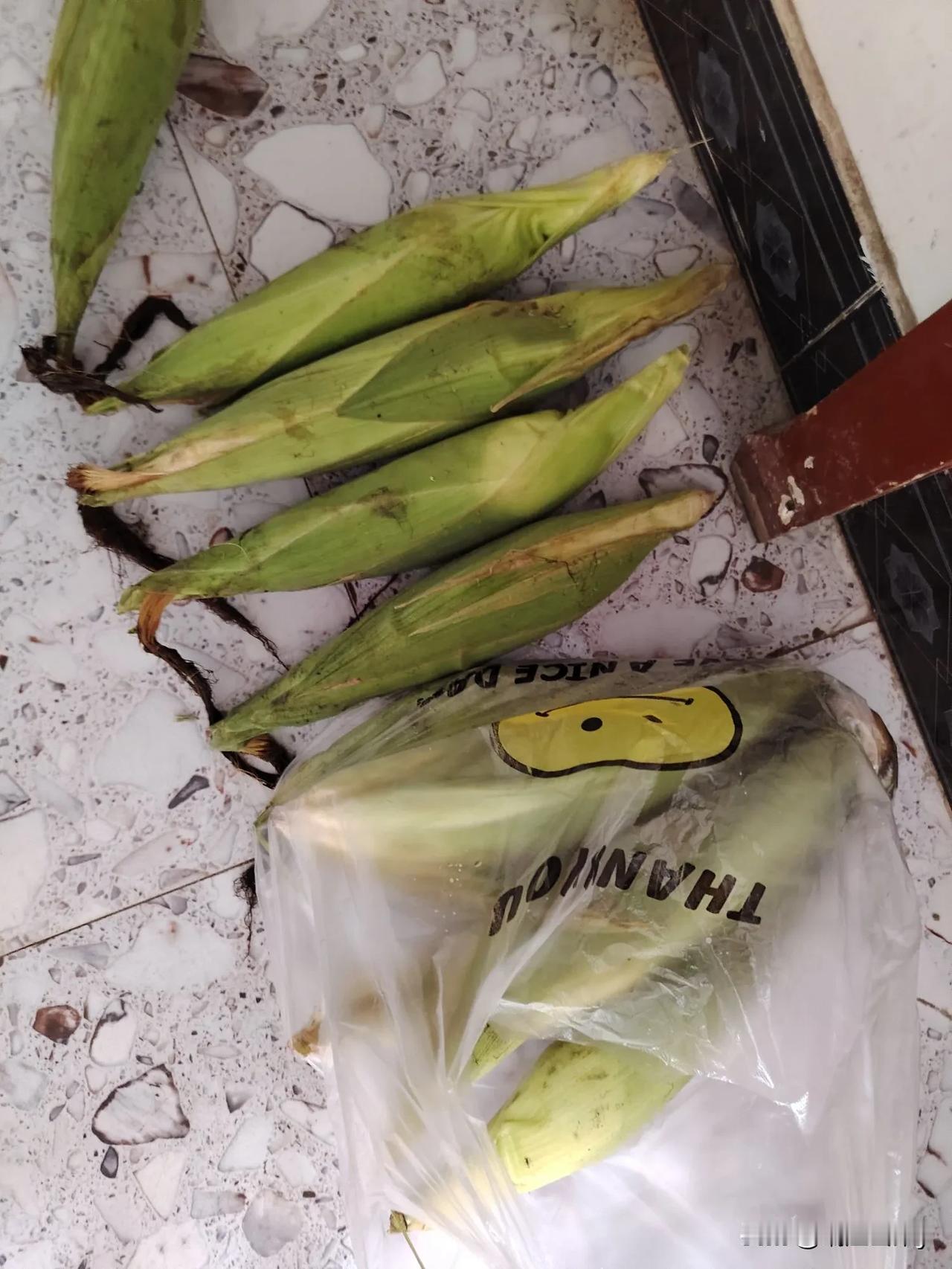 你种点东西不容易，哪能白要你的，你说价钱该多少给你多少钱？不要大街上拉拉扯扯的。