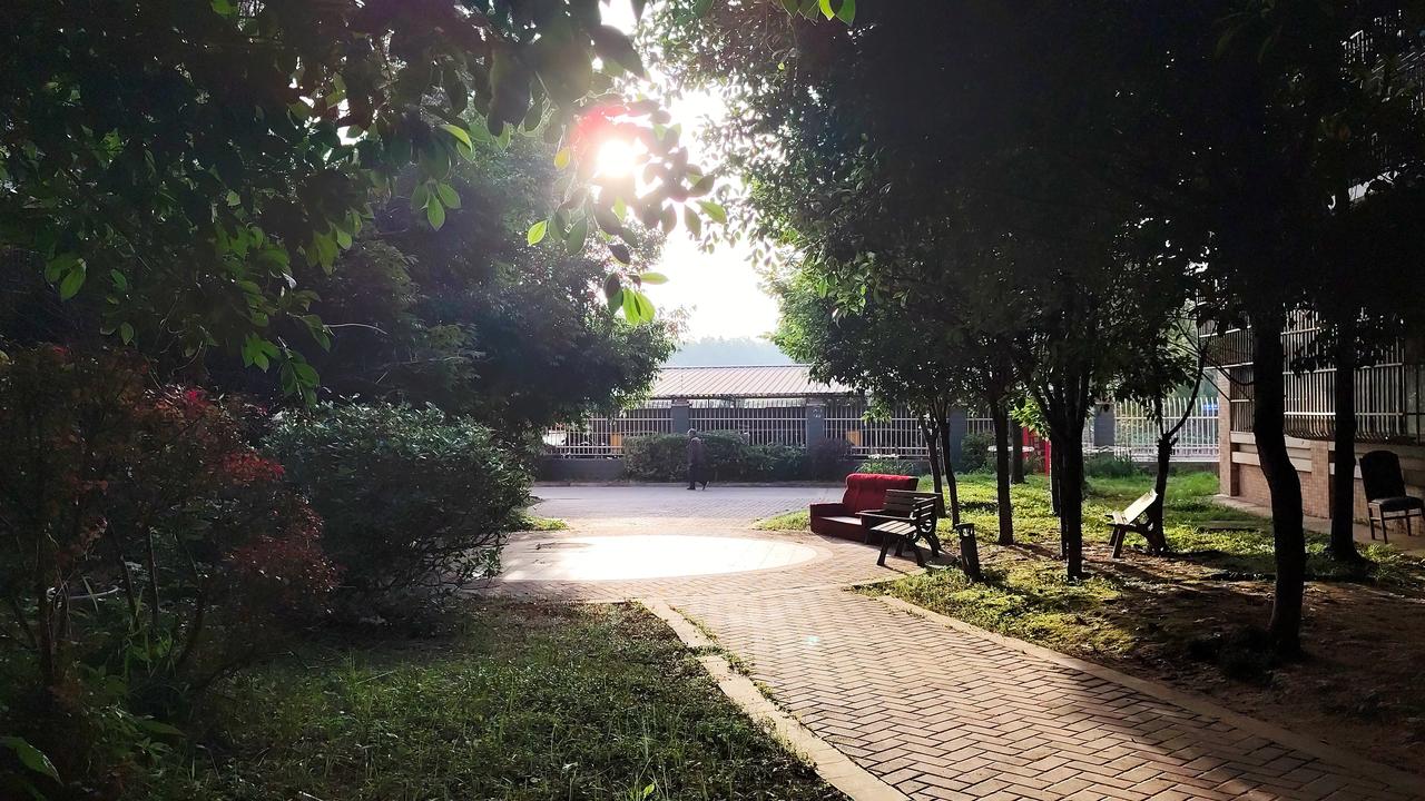 晒图笔记大赛小区里的早上充满着生机勃勃！大家都在忙碌着自己想要做的事情！又是朝气