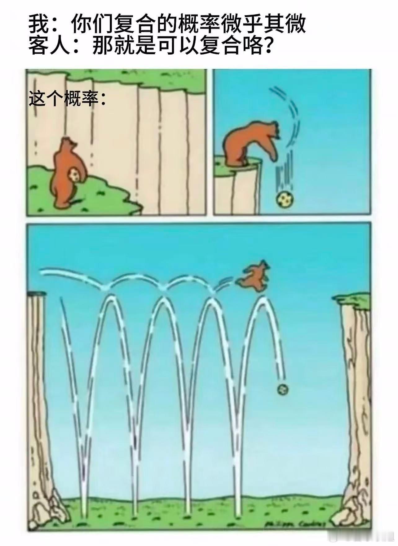 我以后给顾客发结果应该注解：「你俩复合的可能性微乎其微¹，不要抱有希望。」①微乎