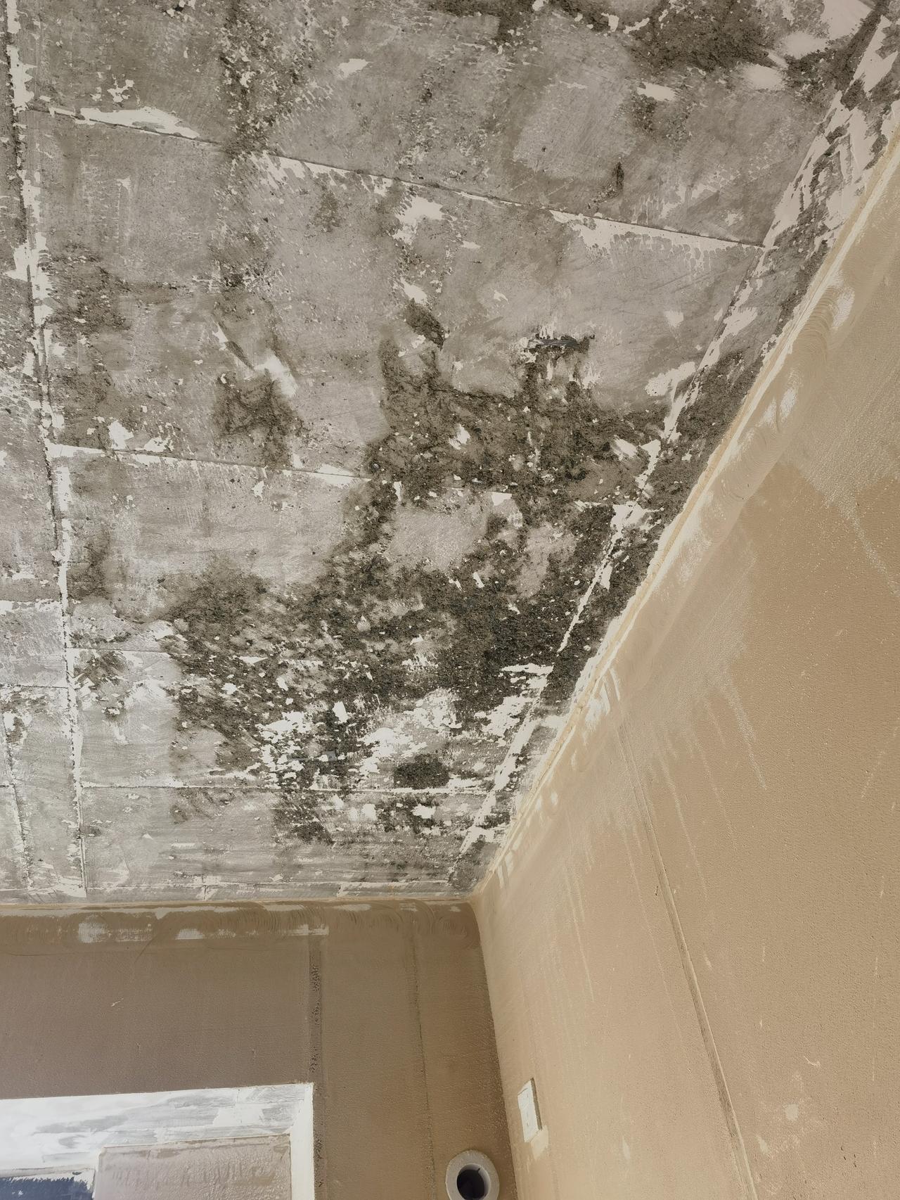 求建筑专业人士解答：谢谢！
新房屋顶，铲掉的白灰，灰层出现这样的情况，
专业人士