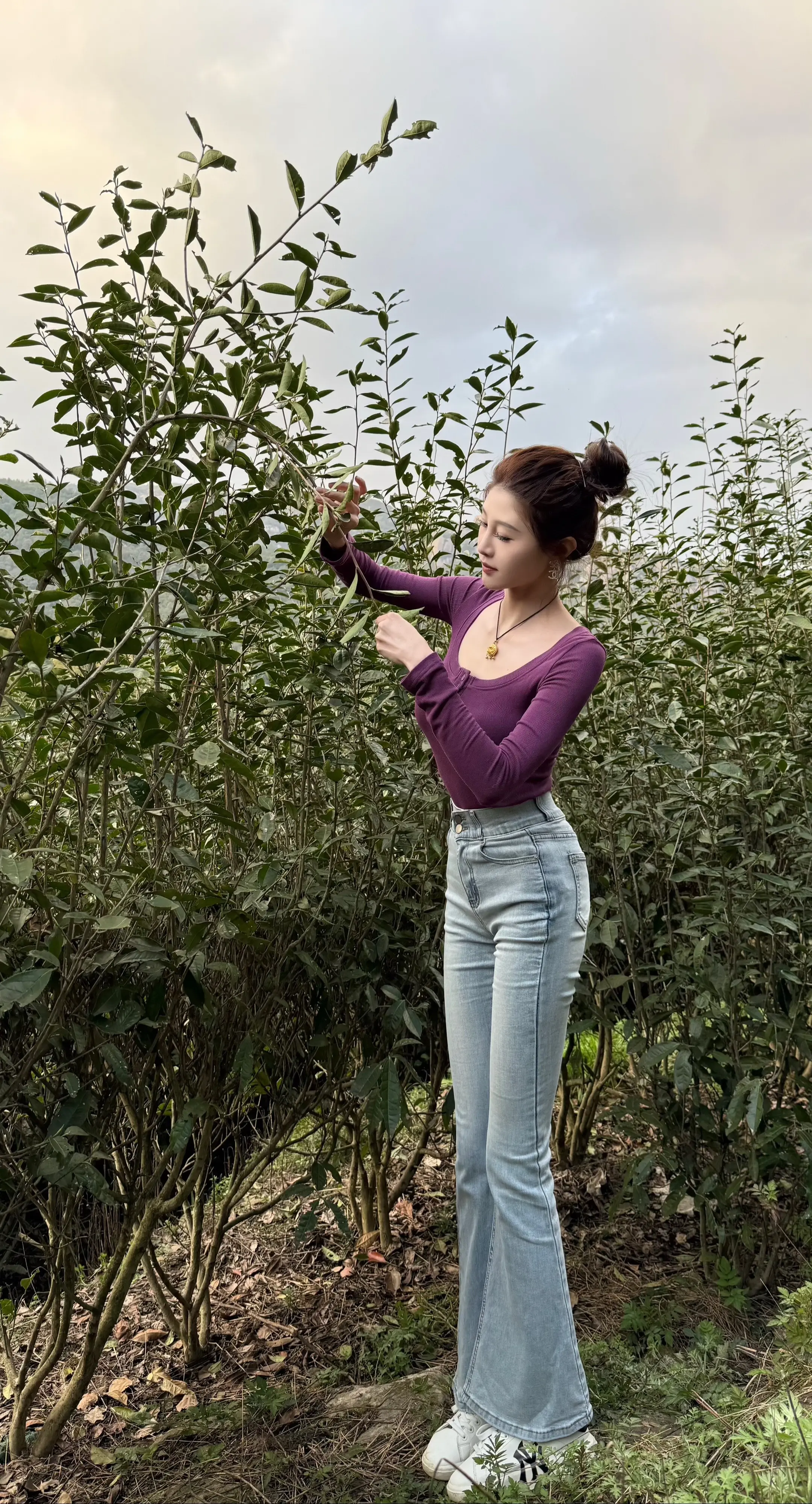 岁月悠然茶知有暖
