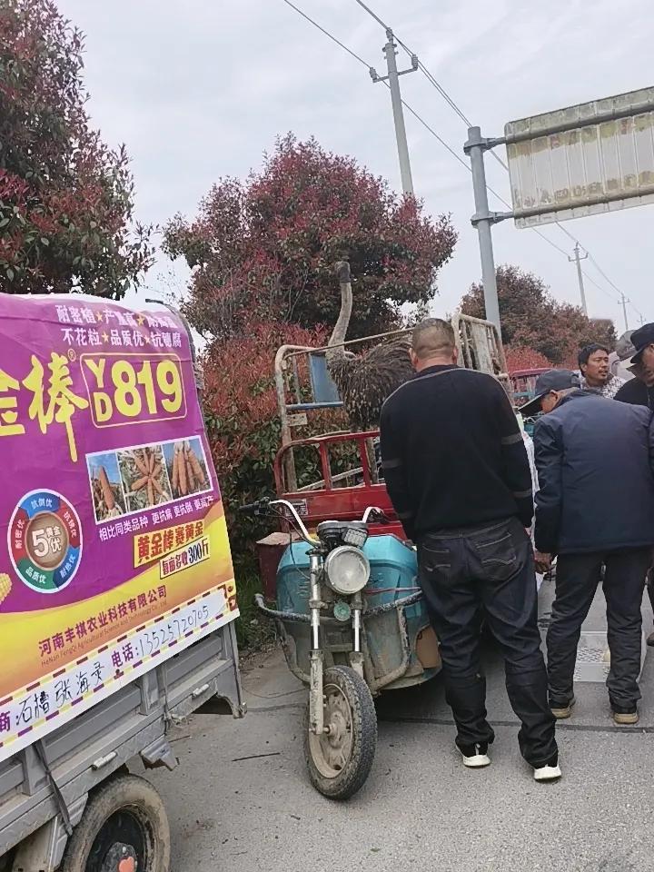 农村人的猫狗市场
    今天来赶集，看到农村人的猫狗市场，真热闹！
   还是