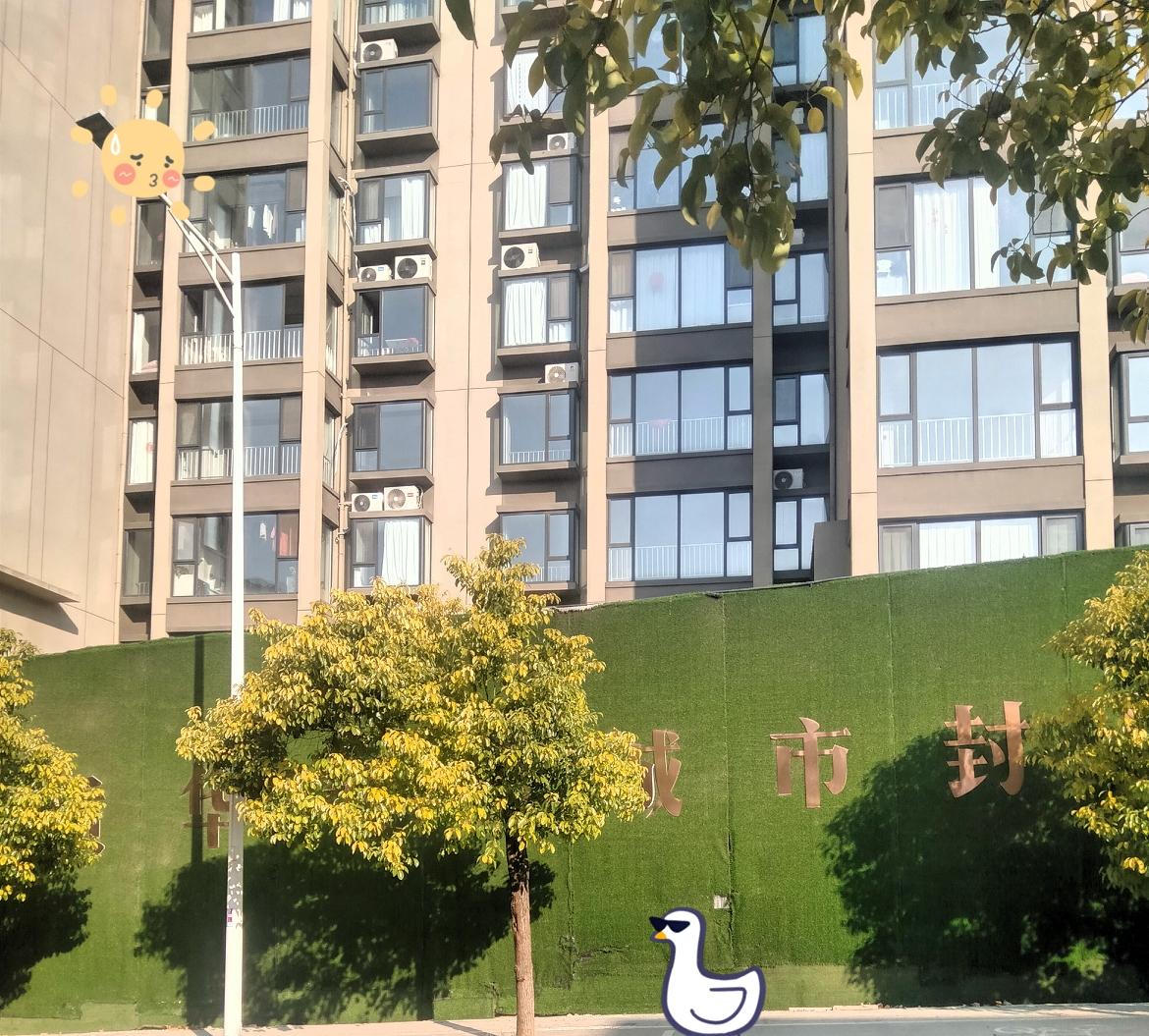 这太阳晒得人身上暖乎乎的，抬眼就瞅见路边那片绿围挡——绒乎乎的草皮裹得严实，上面