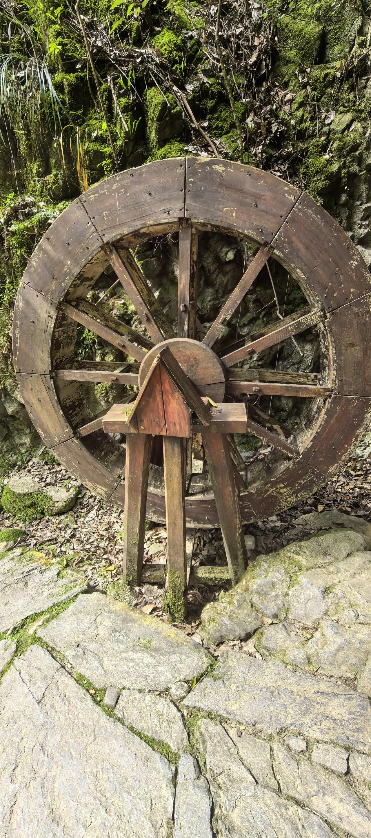 这是什么东西？应该是粮食加工工具？谁见过或用过这玩意？