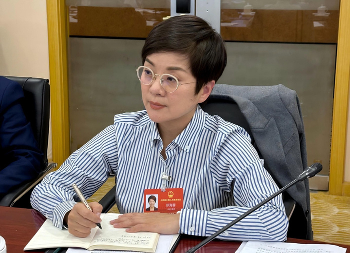 建议规范屏幕显示默认字体【屏幕显示默认字体应该是哪种？全国人大代表印海蓉提了个建