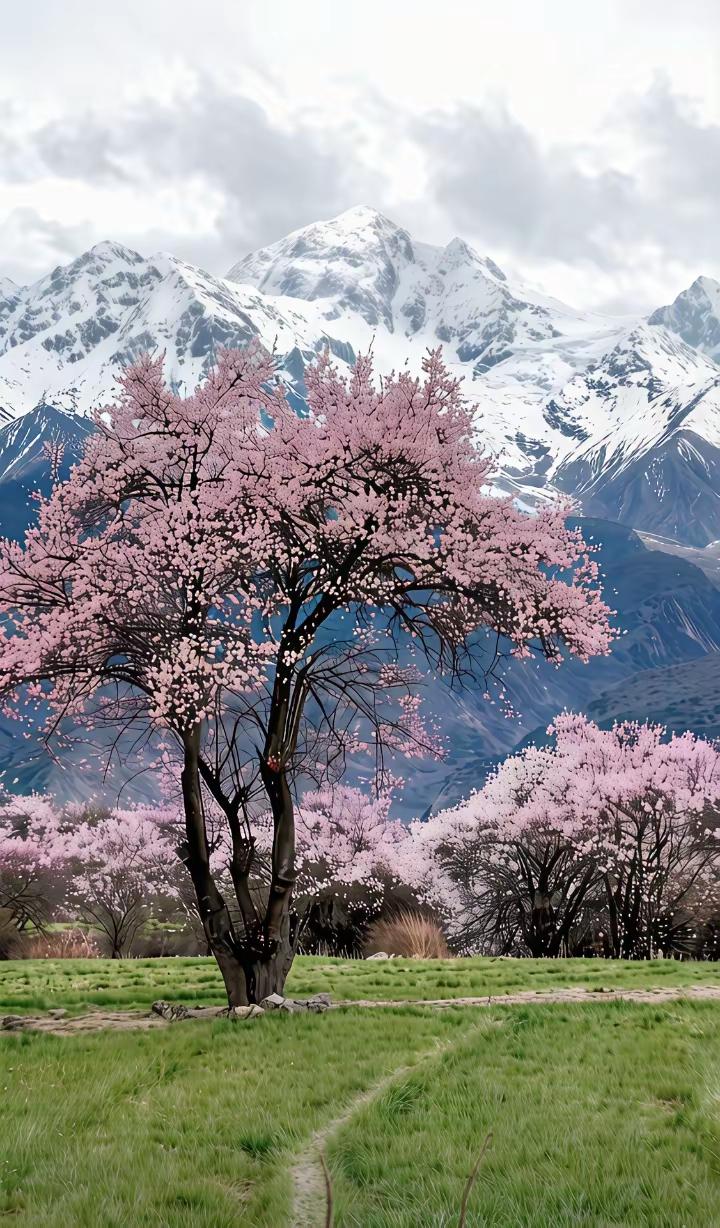 退休人员最好的生活状态
 
1. 身体无大病，生活能自理
规律作息、适度锻炼，管