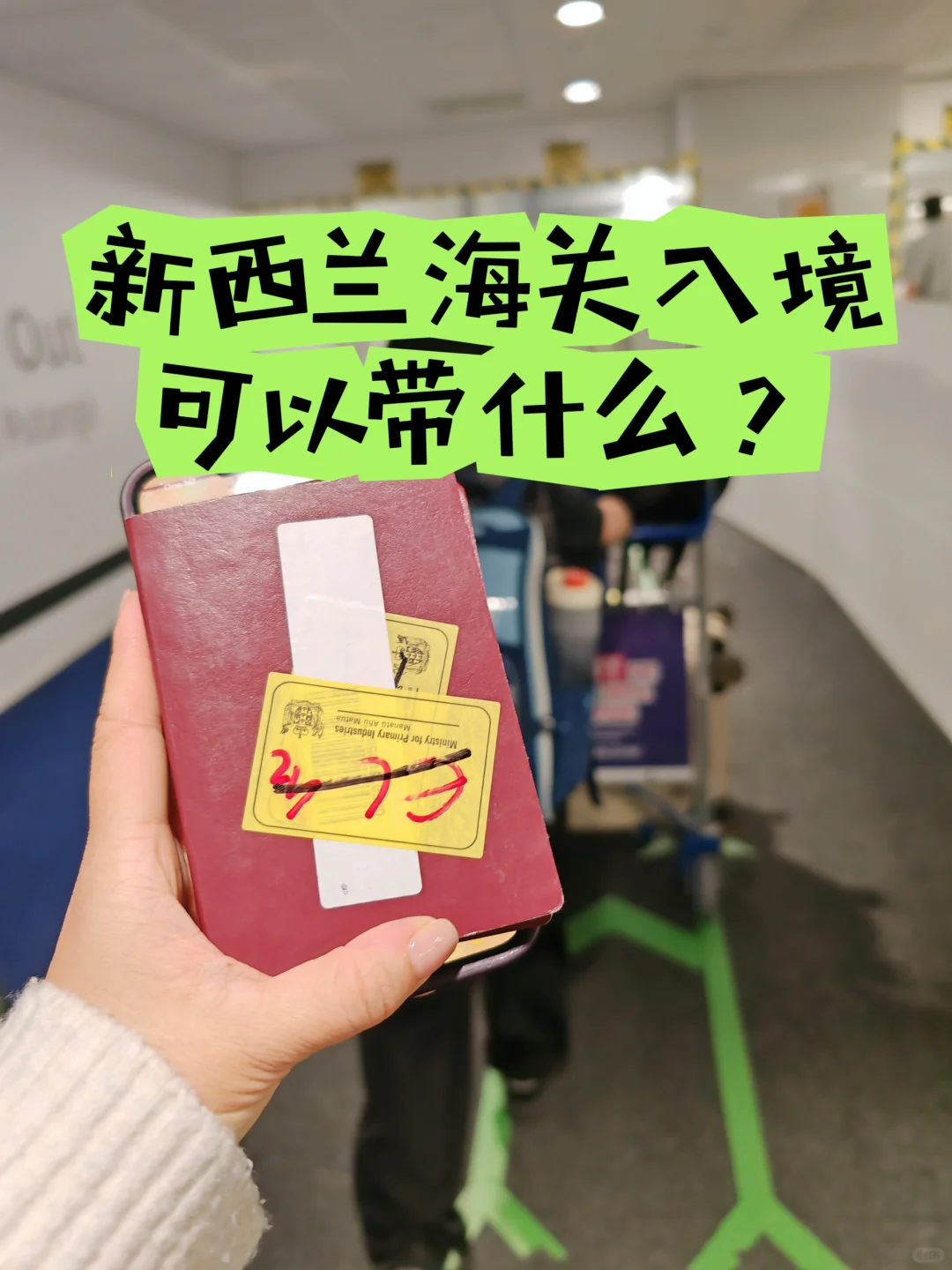 呕心沥血总结的 新西兰插班游学出行清单