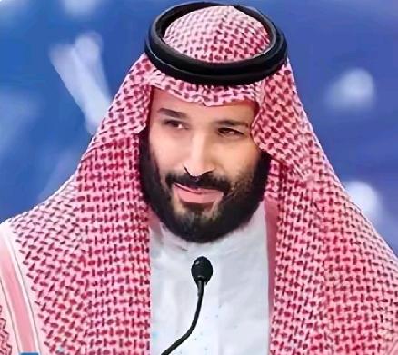 沙特王储一席话震撼中东！特朗普计划遭遇重大挫折，和平之路何去何从？

就在与特朗