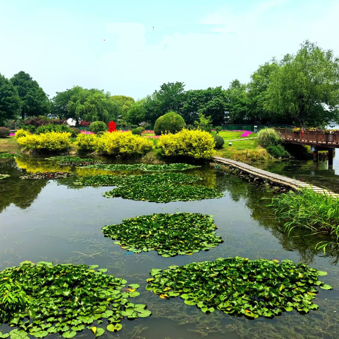 晨曦中的初夏时分……