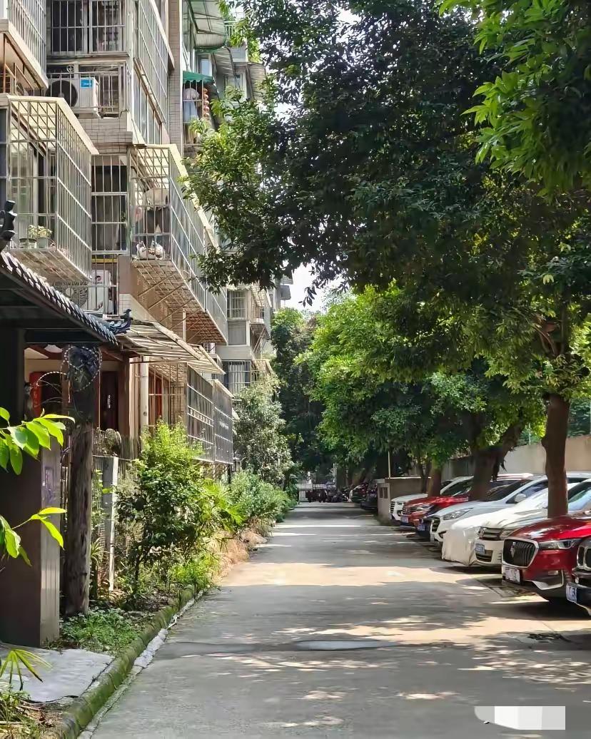 今天算是彻底寒了心了。

我闺女，今年三十了，暑假带着孩子回来两趟，口口声声说想