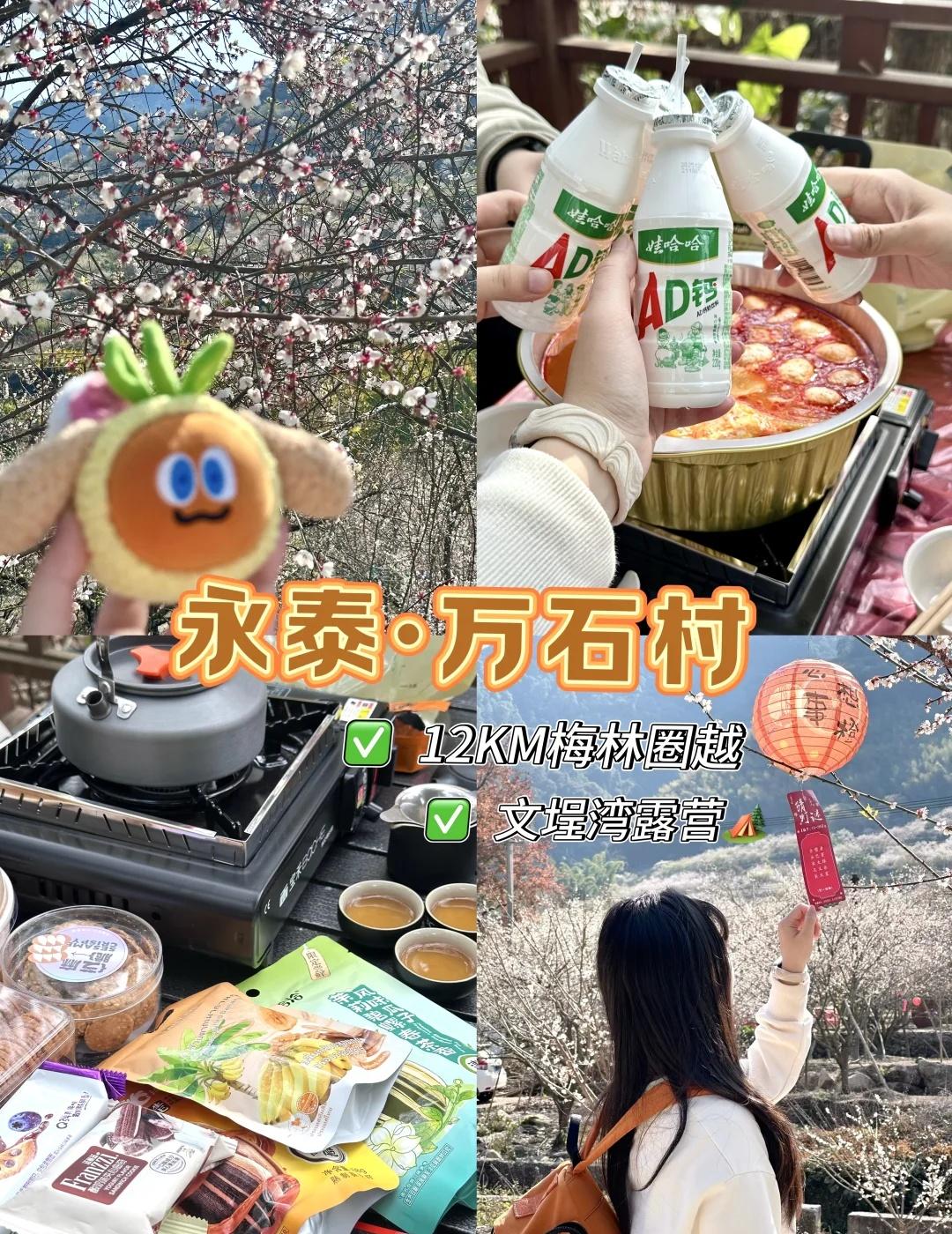 福州周边游|永泰徒步赏梅➕露营路线🏕️
漫山遍野的梅花盛开
是属于永泰冬天独有