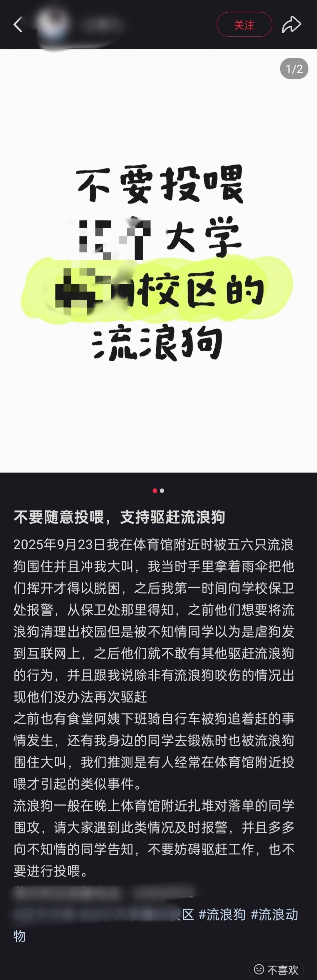 这名网友也是挺倒霉的，称在大学体育馆附近被多只流浪狗围住。保安已经被吓得不敢有驱